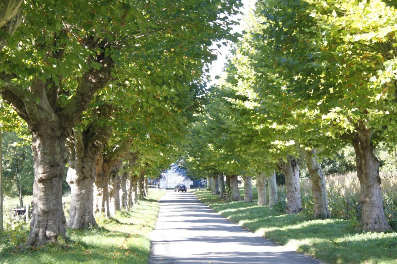 Avenue Du Chateau Saint-Just  Exterior foto